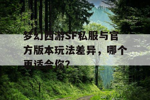 梦幻西游SF私服与官方版本玩法差异，哪个更适合你？