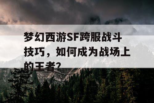 梦幻西游SF跨服战斗技巧，如何成为战场上的王者？