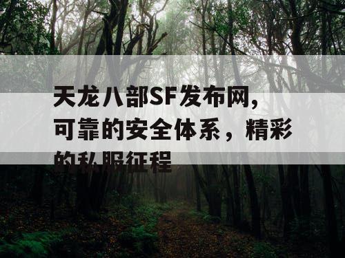 天龙八部SF发布网,可靠的安全体系，精彩的私服征程