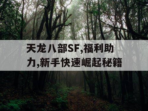 天龙八部SF,福利助力,新手快速崛起秘籍