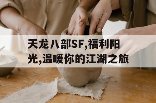 天龙八部SF,福利阳光,温暖你的江湖之旅