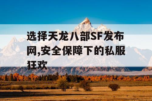选择天龙八部SF发布网,安全保障下的私服狂欢