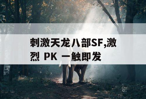 刺激天龙八部SF,激烈 PK 一触即发