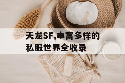 天龙SF,丰富多样的私服世界全收录