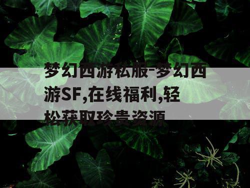梦幻西游私服-梦幻西游SF,在线福利,轻松获取珍贵资源