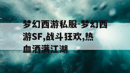 梦幻西游私服-梦幻西游SF,战斗狂欢,热血洒满江湖