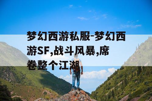 梦幻西游私服-梦幻西游SF,战斗风暴,席卷整个江湖