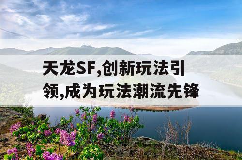 天龙SF,创新玩法引领,成为玩法潮流先锋
