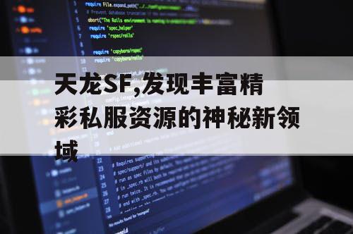 天龙SF,发现丰富精彩私服资源的神秘新领域