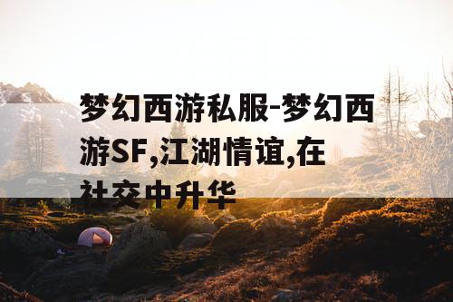梦幻西游私服-梦幻西游SF,江湖情谊,在社交中升华
