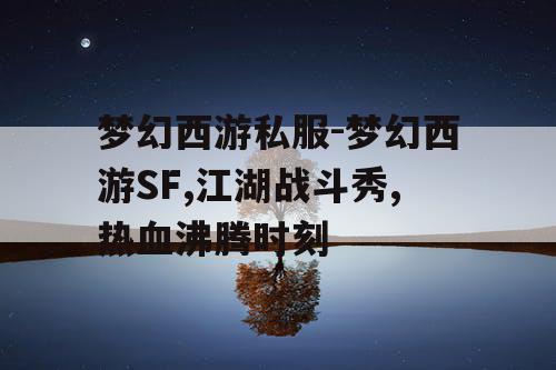 梦幻西游私服-梦幻西游SF,江湖战斗秀,热血沸腾时刻