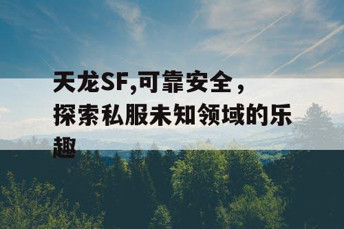 天龙SF,可靠安全，探索私服未知领域的乐趣
