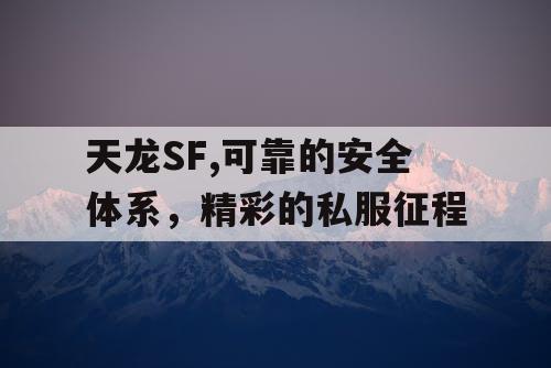 天龙SF,可靠的安全体系，精彩的私服征程
