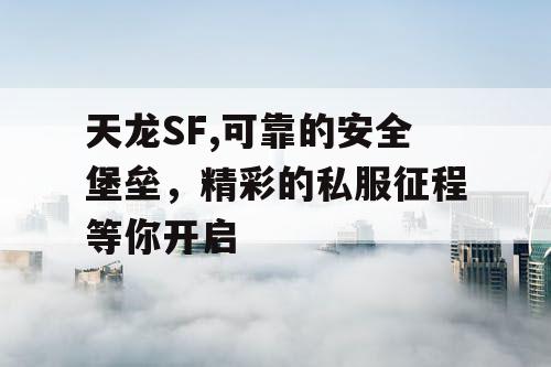 天龙SF,可靠的安全堡垒，精彩的私服征程等你开启