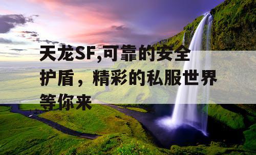 天龙SF,可靠的安全护盾，精彩的私服世界等你来