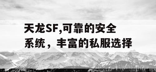天龙SF,可靠的安全系统，丰富的私服选择