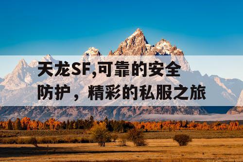 天龙SF,可靠的安全防护，精彩的私服之旅