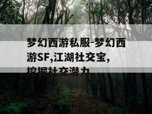 梦幻西游私服-梦幻西游SF,江湖社交宝,挖掘社交潜力
