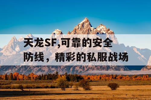 天龙SF,可靠的安全防线，精彩的私服战场