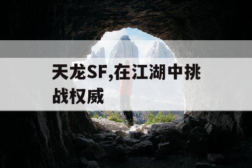 天龙SF,在江湖中挑战权威