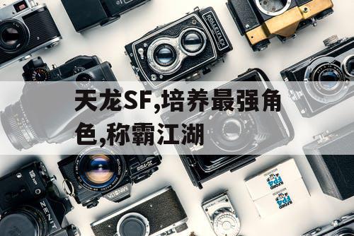 天龙SF,培养最强角色,称霸江湖