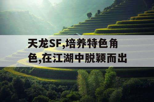 天龙SF,培养特色角色,在江湖中脱颖而出