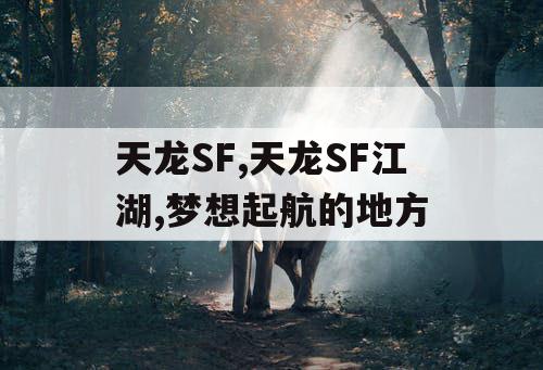 天龙SF,天龙SF江湖,梦想起航的地方