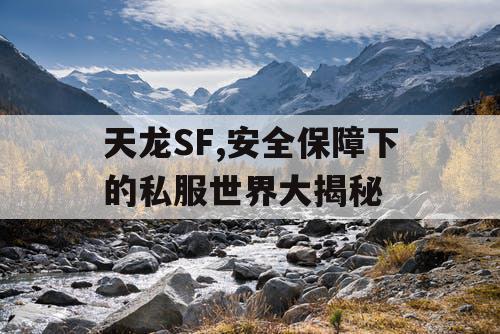 天龙SF,安全保障下的私服世界大揭秘