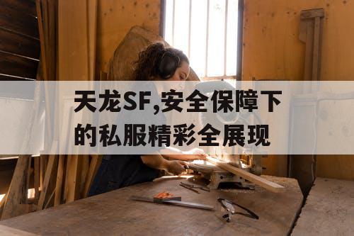 天龙SF,安全保障下的私服精彩全展现