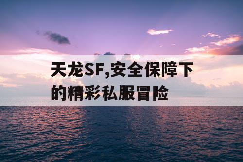 天龙SF,安全保障下的精彩私服冒险