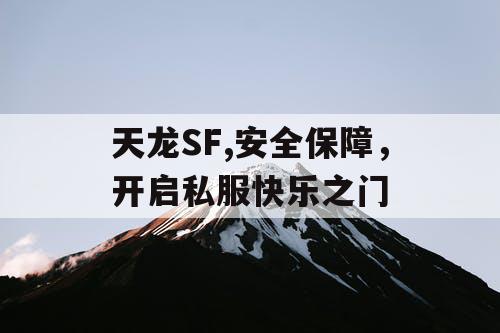天龙SF,安全保障，开启私服快乐之门