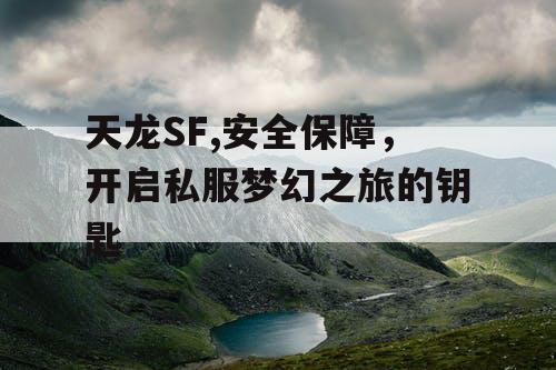 天龙SF,安全保障，开启私服梦幻之旅的钥匙