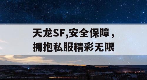 天龙SF,安全保障，拥抱私服精彩无限