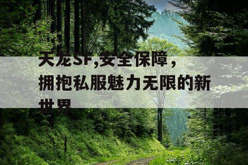 天龙SF,安全保障，拥抱私服魅力无限的新世界