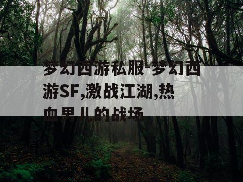 梦幻西游私服-梦幻西游SF,激战江湖,热血男儿的战场