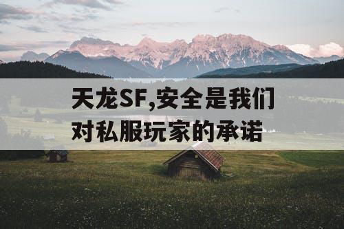 天龙SF,安全是我们对私服玩家的承诺
