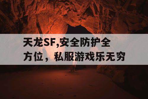天龙SF,安全防护全方位，私服游戏乐无穷