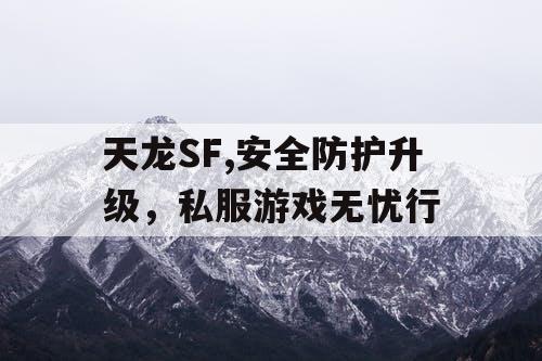 天龙SF,安全防护升级，私服游戏无忧行