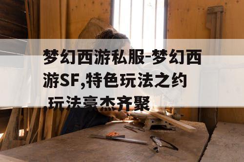 梦幻西游私服-梦幻西游SF,特色玩法之约,玩法豪杰齐聚