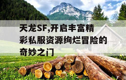 天龙SF,开启丰富精彩私服资源绚烂冒险的奇妙之门