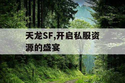 天龙SF,开启私服资源的盛宴 天龙SF,开启私服资源的盛宴