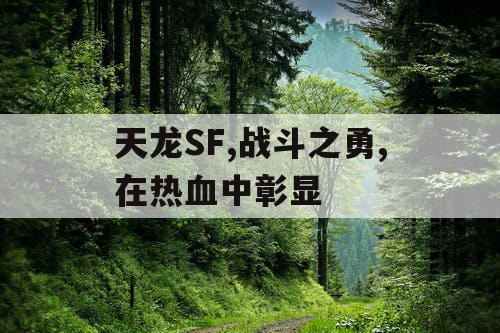 天龙SF,战斗之勇,在热血中彰显