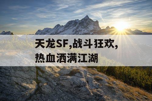 天龙SF,战斗狂欢,热血洒满江湖