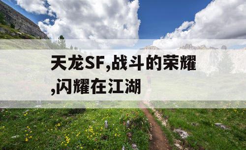 天龙SF,战斗的荣耀,闪耀在江湖