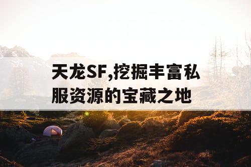 天龙SF,挖掘丰富私服资源的宝藏之地