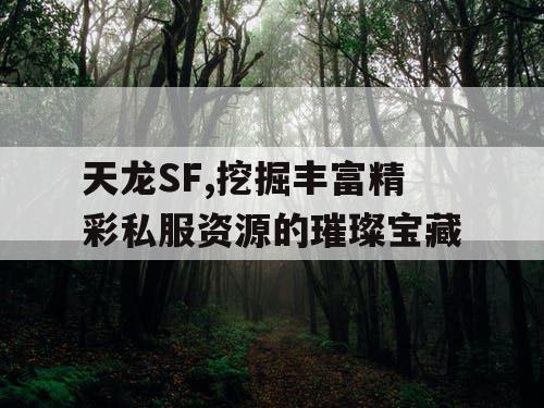 天龙SF,挖掘丰富精彩私服资源的璀璨宝藏