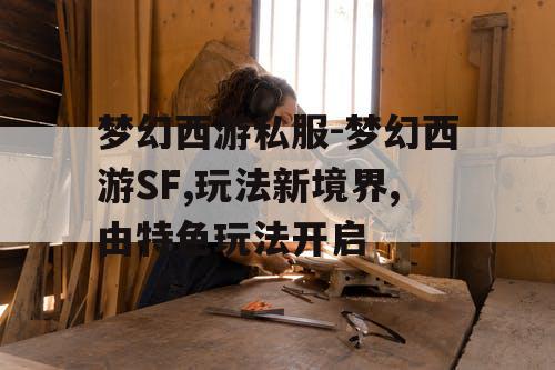 梦幻西游私服-梦幻西游SF,玩法新境界,由特色玩法开启