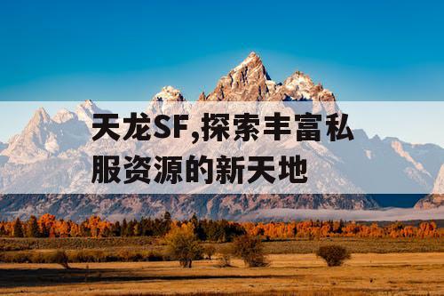天龙SF,探索丰富私服资源的新天地