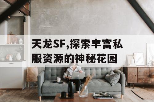 天龙SF,探索丰富私服资源的神秘花园