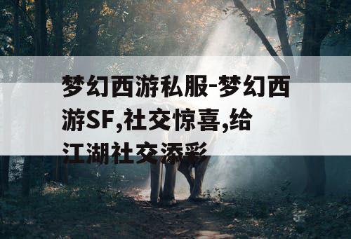 梦幻西游私服-梦幻西游SF,社交惊喜,给江湖社交添彩